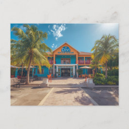 Cartão Postal O divi divi dushi bonaire