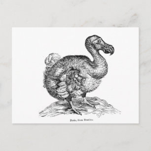 Cartão Postal O Dodo