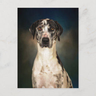 Cartão Postal O Dogue Alemão