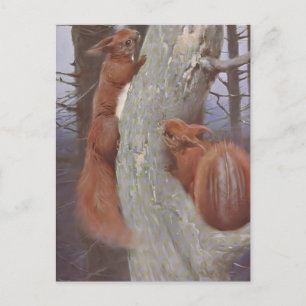 Cartão Postal O ESQUILO (Sciurus vulgaris)