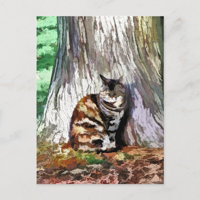 CARTÃO POSTAL O GATO (Frente)