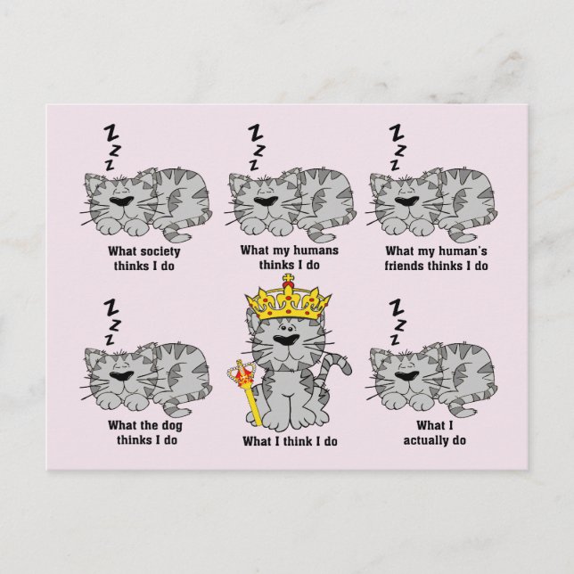 Cartão Postal O Gato (Frente)