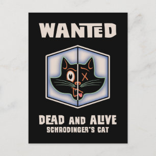 Cartão Postal O Gato de Schrodinger foi procurado