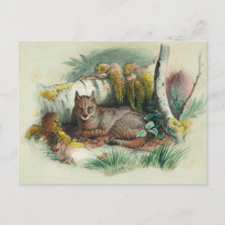 Cartão Postal O Gato Egípcio de Joseph Wolf