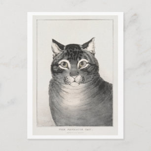Cartão Postal O Gato Favorito (1838–48) Litografia