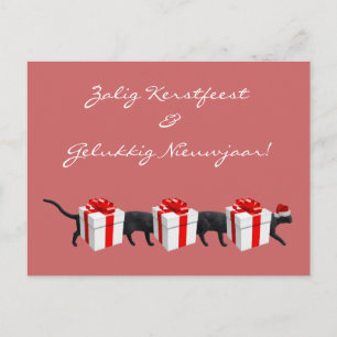 Cartão Postal O Gato Mais Longo do Mundo