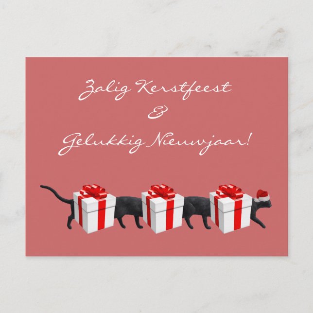 Cartão Postal O Gato Mais Longo do Mundo (Frente)