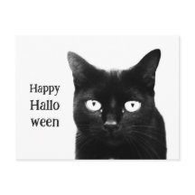 O Gato Preto Halloween