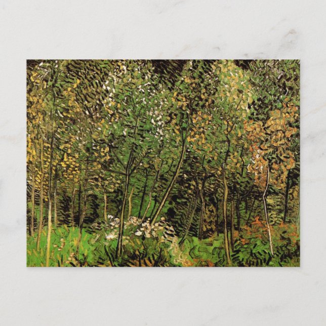 Cartão Postal O Grove de Vincent van Gogh (Frente)