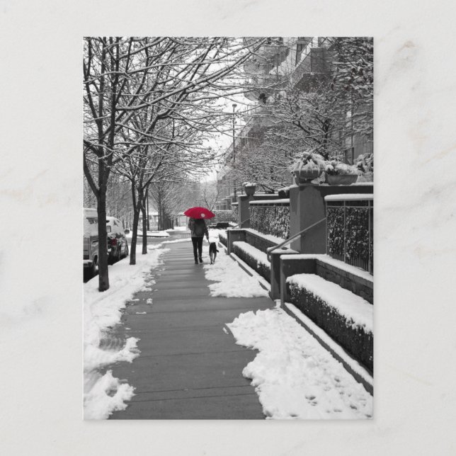 Cartão Postal O guarda-chuva vermelho (Frente)