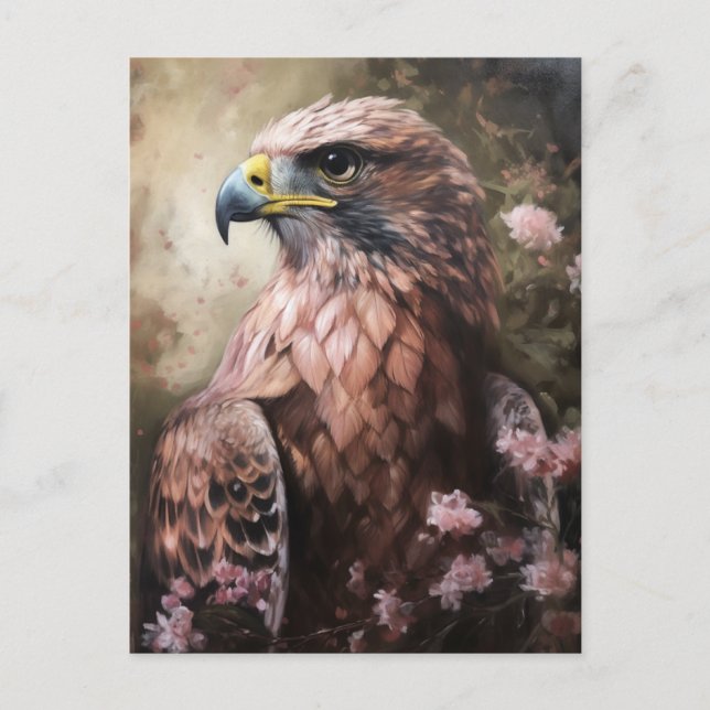 Cartão Postal O Hawk (Frente)
