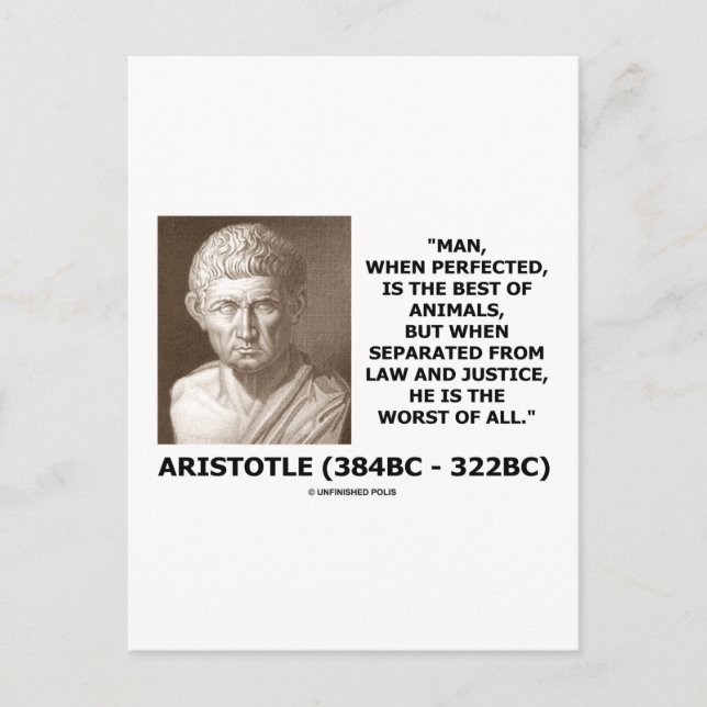 Cartão Postal O Homem Perfeitiçou O Melhor Da Justiça Dos Animai (Frente)