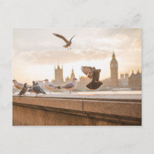 Cartão Postal O icônico Big Ben e Westminster com pombos