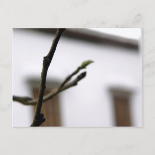 Cartão Postal O Inicial