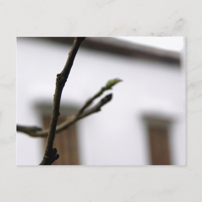 Cartão Postal O Inicial (Frente)