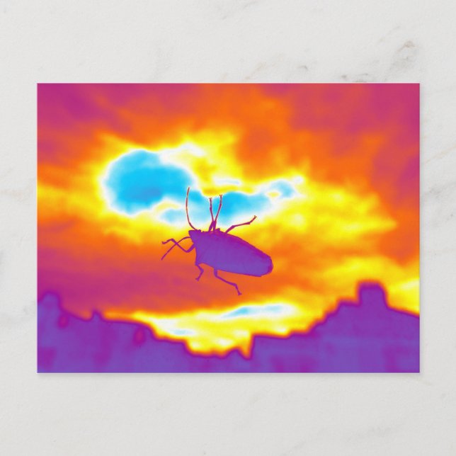 Cartão Postal O Inseto Psicodélico (Frente)