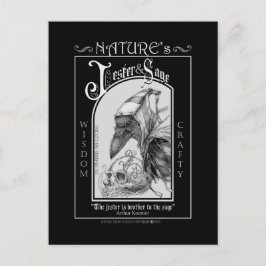 Cartão Postal O Jester e a Sage da Natureza