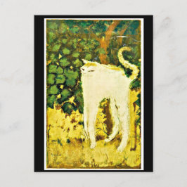 Cartão Postal O Kitten Branco