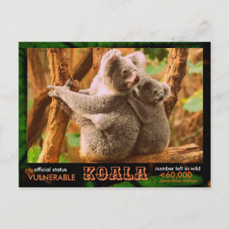 Cartão Postal O KOALA (Urso) está ameaçado, leia o seguinte: