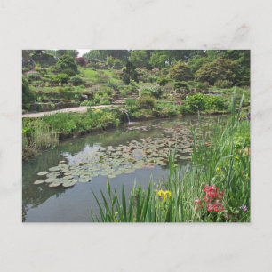Cartão Postal O Lago de Lírios em RHS Wisley Postcard