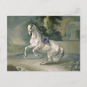 Cartão Postal O Leal na levada do Estalão Branco, 1721