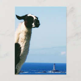Cartão Postal O Llama e o Farol, Lands End, Cornwall.