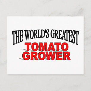 Cartão Postal O maior produtor de tomate do mundo