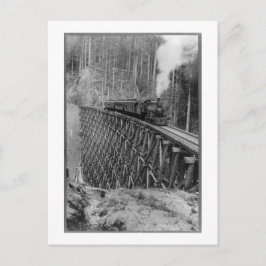 Cartão Postal O Maior Solteiro Pilotando O Restauro Do Mundo