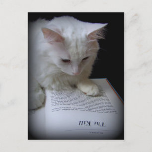 Cartão Postal O Matar