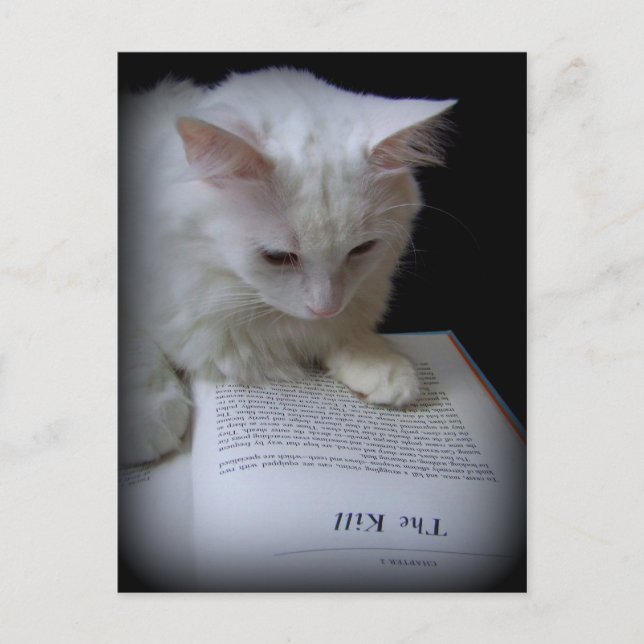 CARTÃO POSTAL O MATAR (Frente)