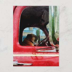 Cartão Postal O Melhor Amigo de Bombeiro