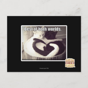 Cartão Postal O melhor dos dois mundos.
