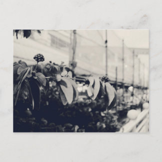 Cartão Postal O meu Singapura: Série Heartlands #6