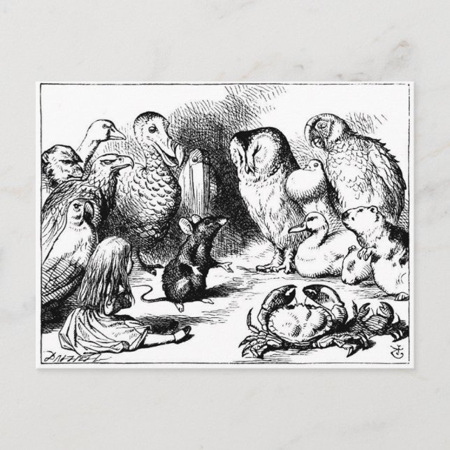 Cartão Postal O mouse e a história seca (Frente)