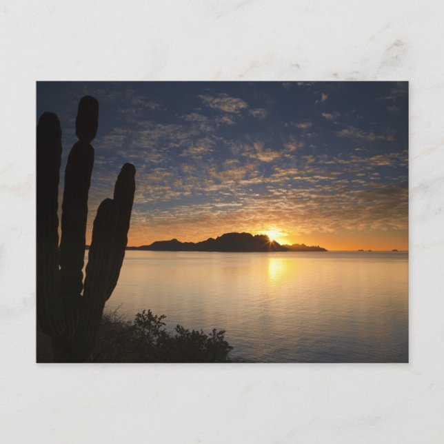 Cartão Postal O nascer do sol sobre Isla Danzante no Golfo de (Frente)