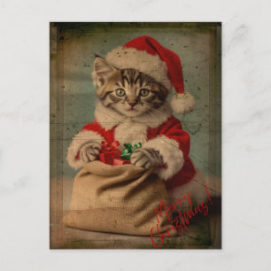 Cartão Postal O Natal do Gatinho 'Yuletide Yawn' Dashing