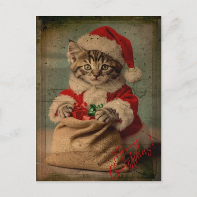 Cartão Postal O Natal do Gatinho 'Yuletide Yawn' Dashing (Frente)