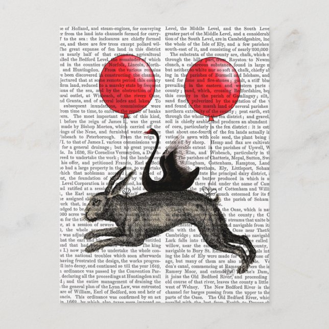 Cartão Postal O navio de lebre (Frente)