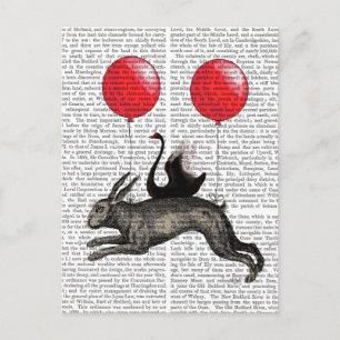 Cartão Postal O navio de lebre