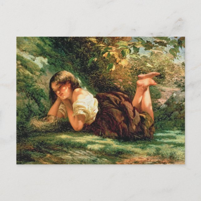 Cartão Postal O Ninho (Frente)