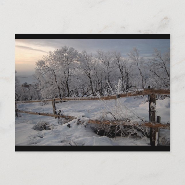 Cartão Postal O Norte Congelado (Frente)