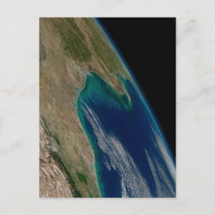 Cartão Postal O Norte Golfo Do México.