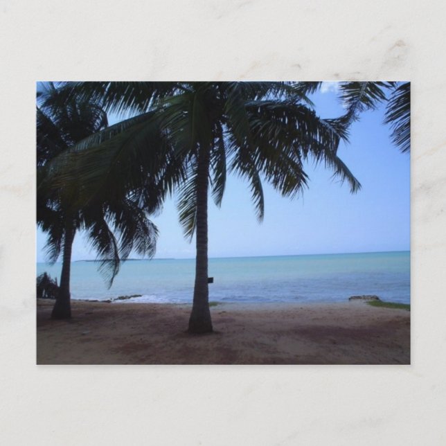 Cartão Postal O Oceano de Manhã (Frente)