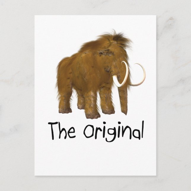 Cartão Postal "O Original" (Frente)