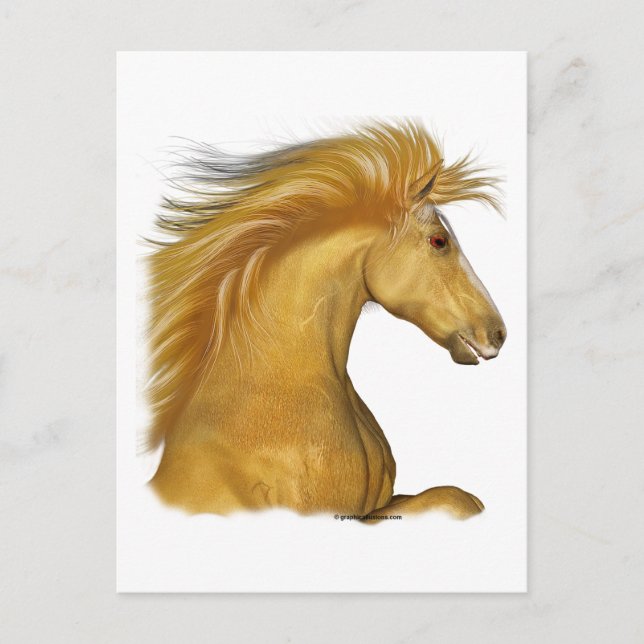 Cartão Postal O Ouro Palomino (Frente)
