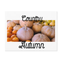 O outono do País das Bombas do Mercado de Fazendei