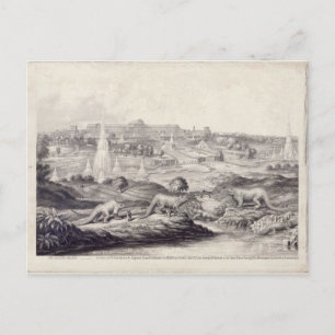 Cartão Postal O Palácio Cristal