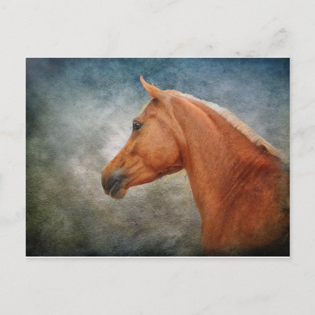 Cartão Postal O Palomino (Frente)