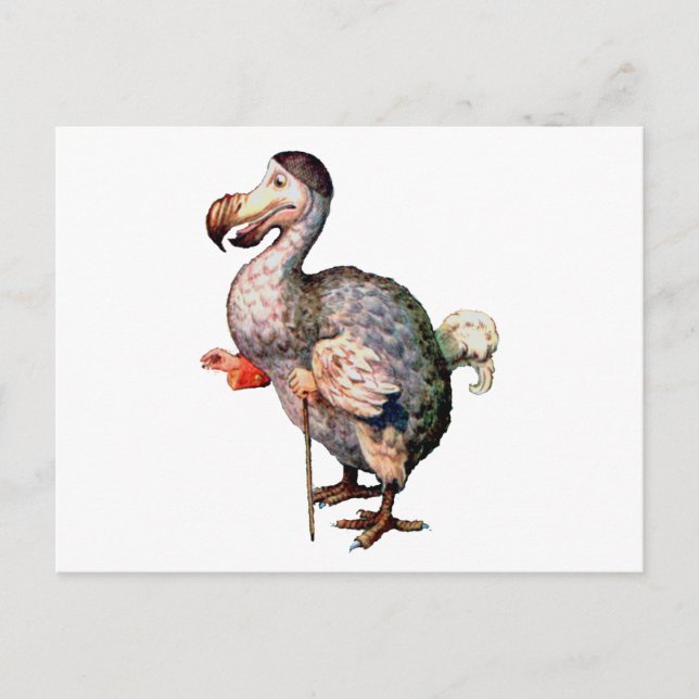 Cartão Postal O Pássaro Dodo (Frente)