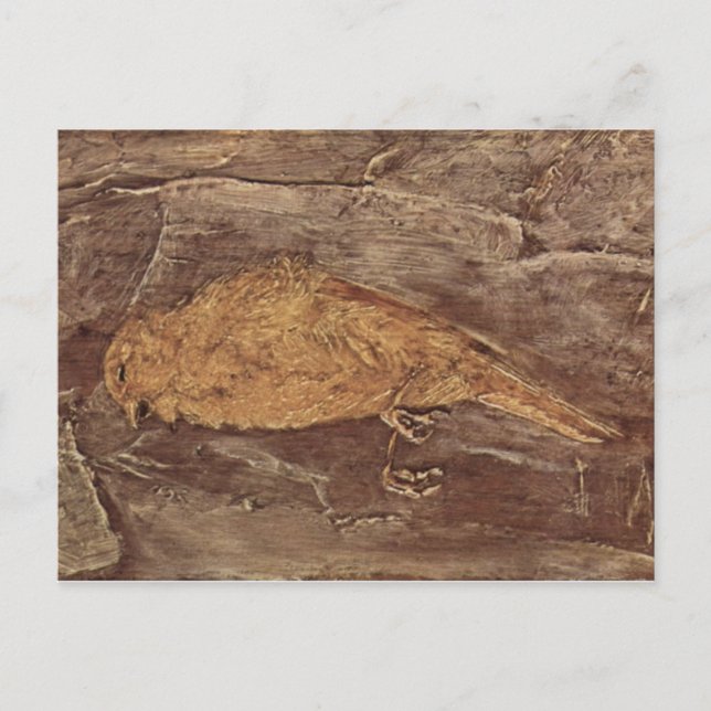 Cartão Postal O Pássaro Morto (Frente)